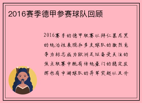 2016赛季德甲参赛球队回顾