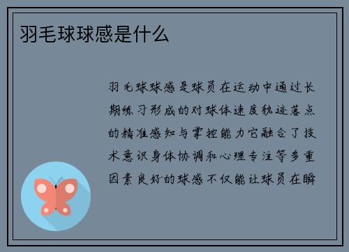羽毛球球感是什么